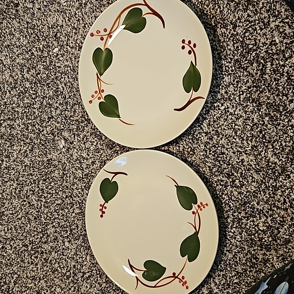 Stanhome Ivy by blue Ridge Southern Pottery. Set of 2 plates